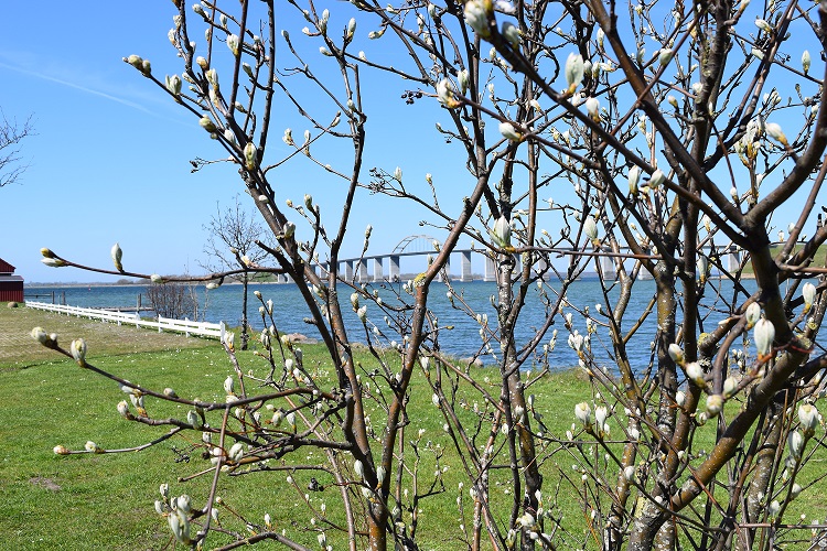 DSC 0310 NY